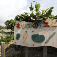 もりののうえん